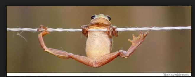 Struggling with pull ups?  This is most likely why.