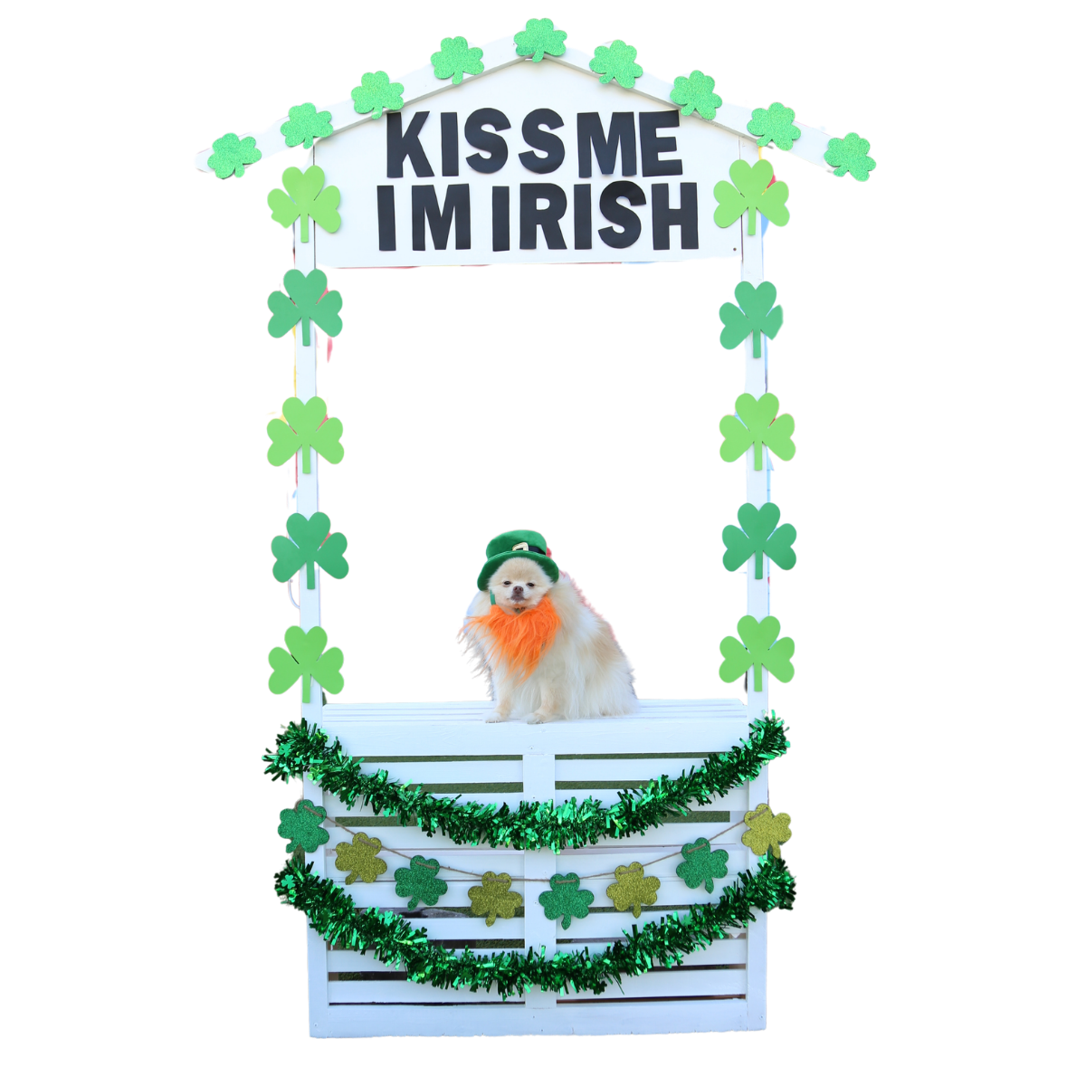 Dog St Paddy’s Kissing Booth Pop Up