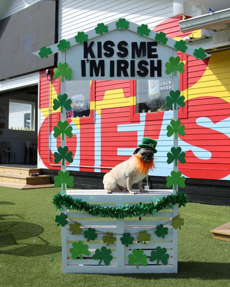 Maggie's Place Nashville St Paddy's Day Dog Pop Up Photobooth