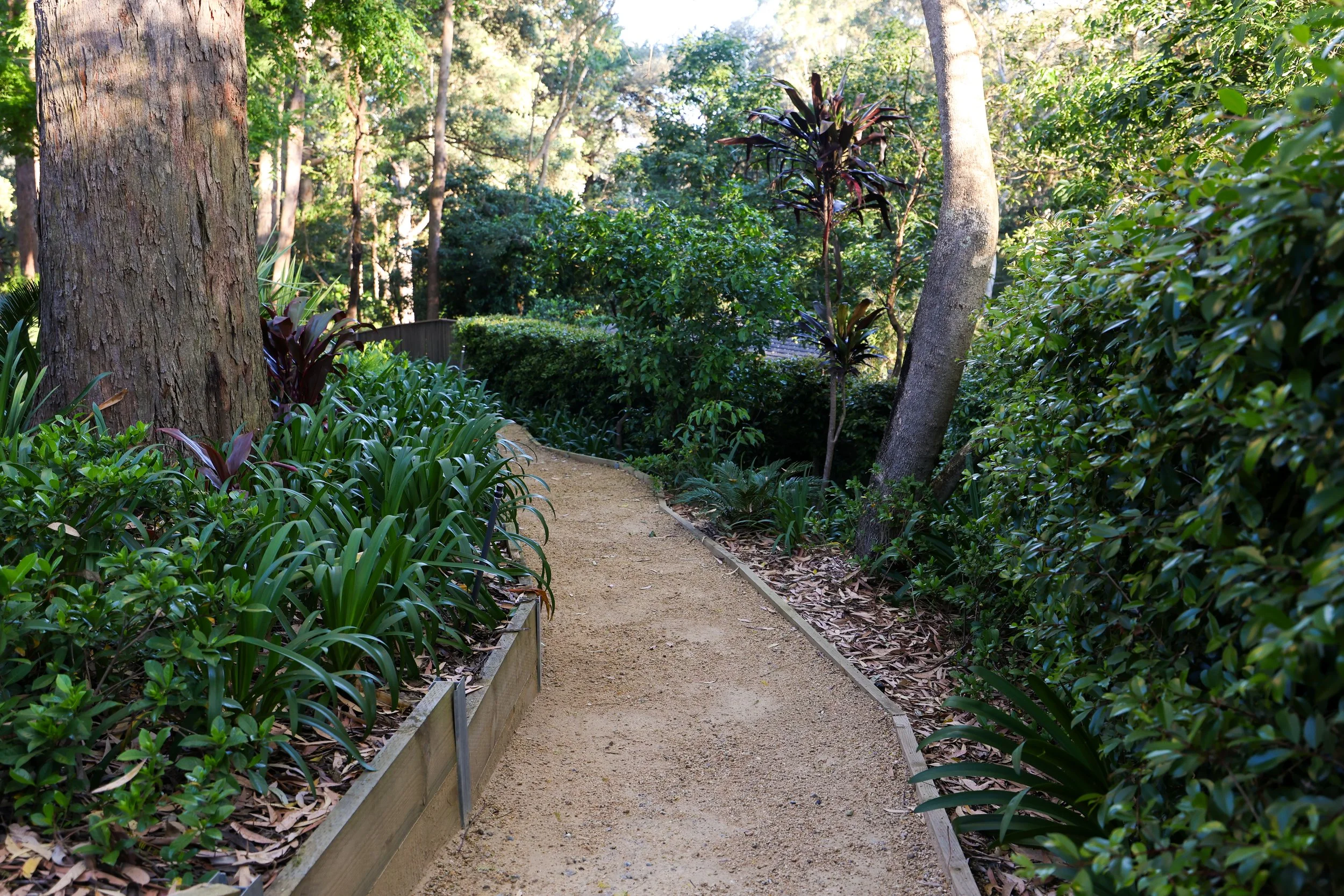 IntegrityB-Landscaping-Grove-Seven-Pymble-59.jpg