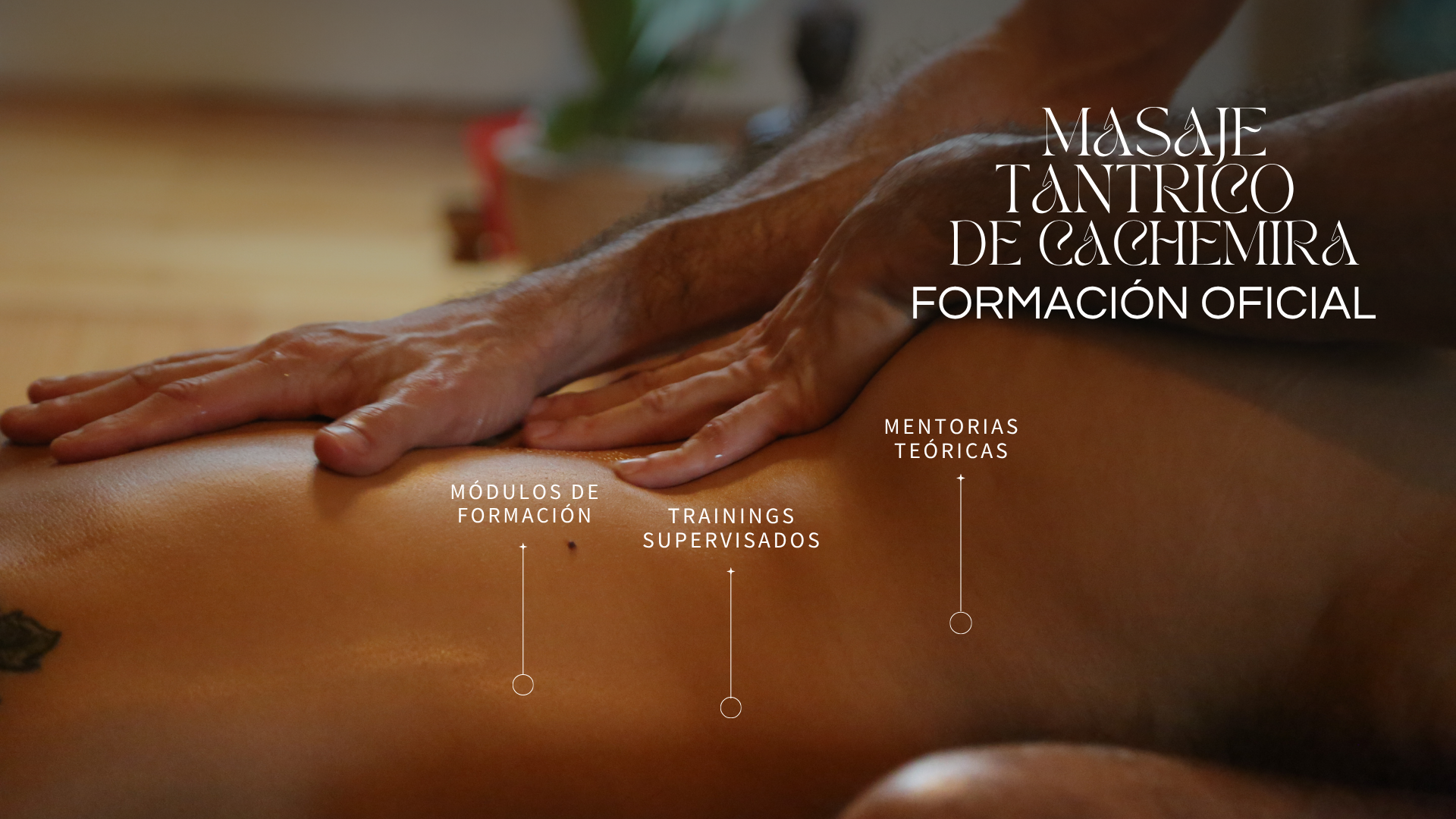 Módulo de Training / Nivel 2