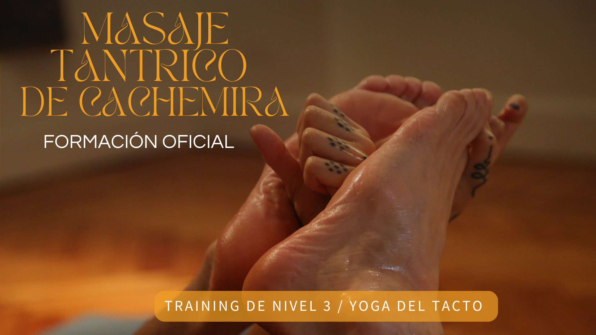 Módulo de Training / Nivel 3