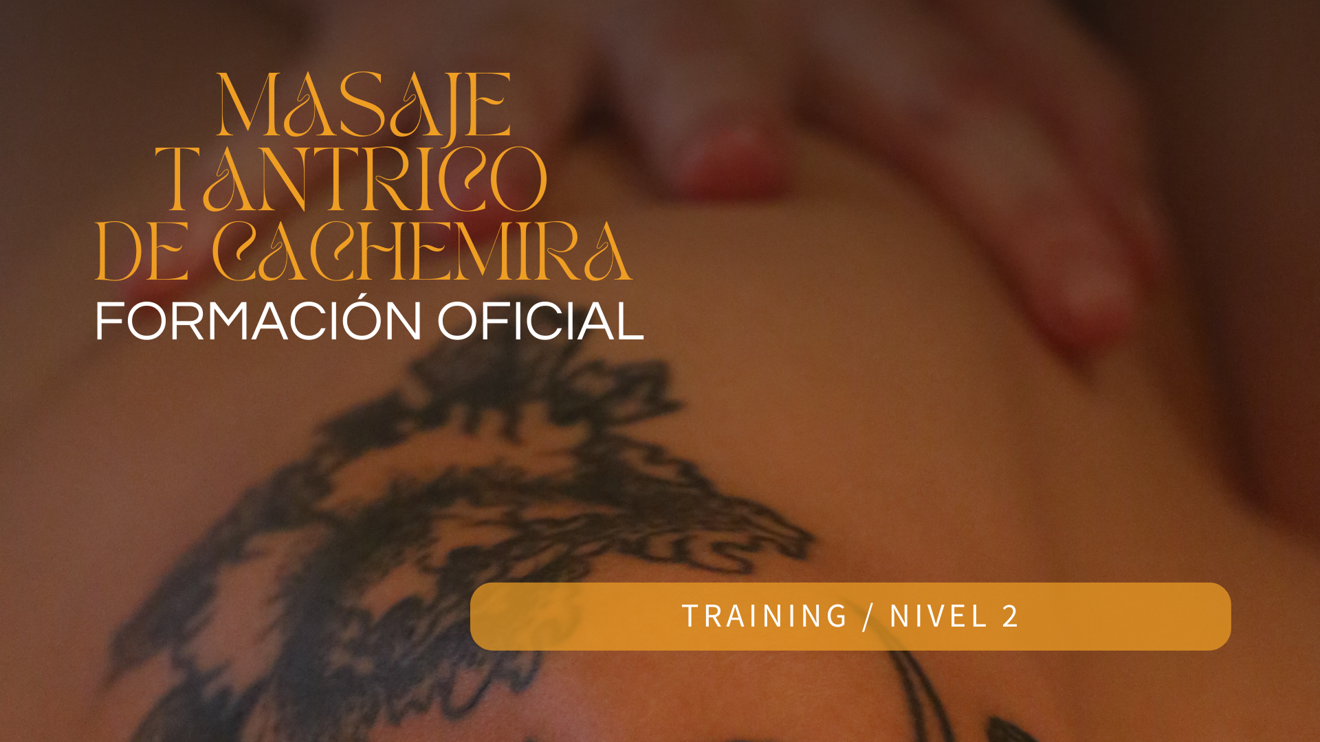 Módulo de Training / Nivel 2