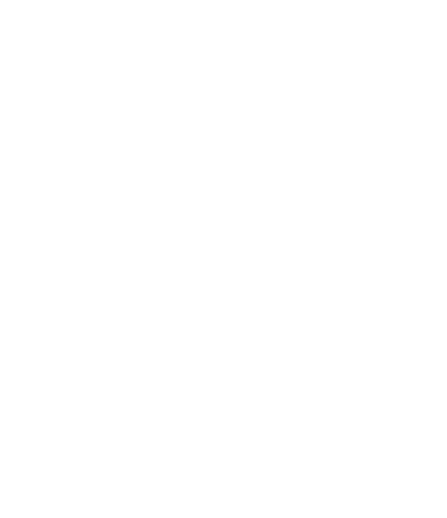 VB AG INC