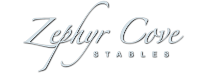 Zephyr Cove Stables logo with stylized text on a black background