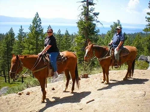 Two people riding horses on a dirt trail in a forested area with trees and a view of water in the background.