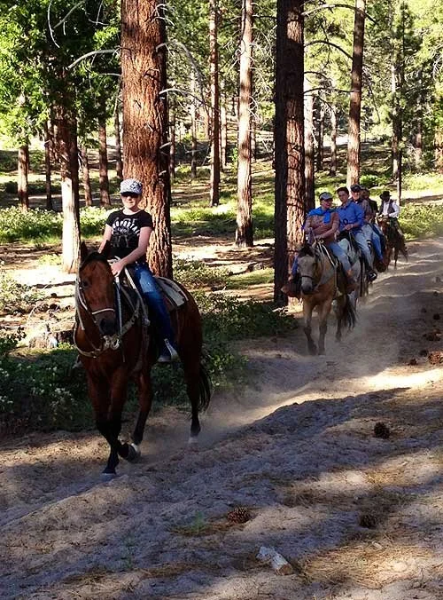 Group of people riding horses on a trail through a wooded forest.