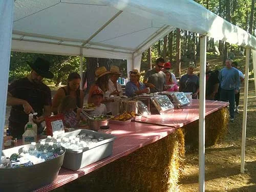People at a food buffet table outdoors under a canopy, with various dishes and drinks.