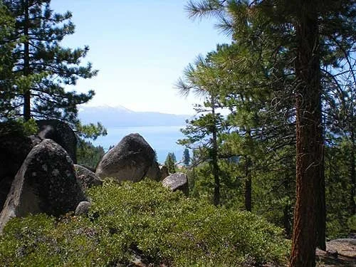 A view of a forested area with large rocks, green trees, and a lake in the distance under a clear blue sky.