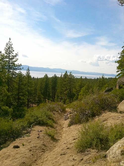 A dirt trail leading down through a forest of pine trees toward a large body of water under a partly cloudy sky.