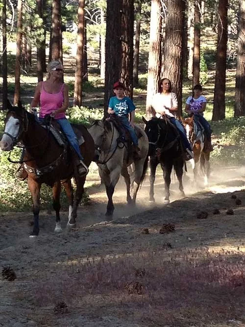 Four people riding horses through a forested trail with tall trees and sunlight filtering through.