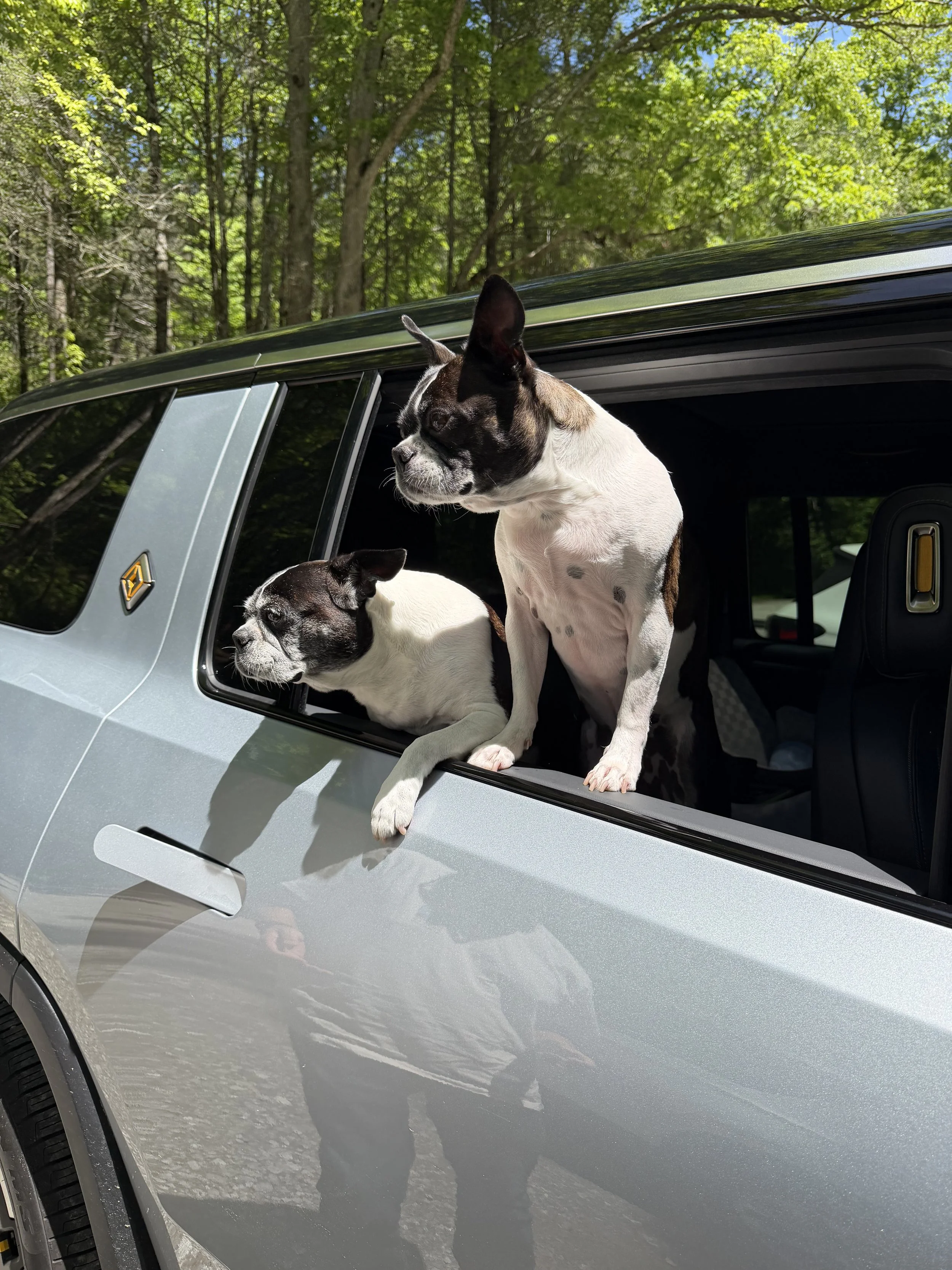 Road Tripping in a Rivian R1S with Two Dogs: 