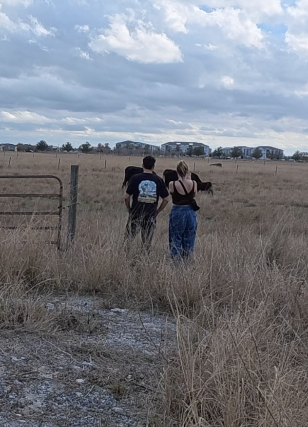 Two people walking away from the camera in a grassy field, with cows and buildings in the distance under a cloudy sky.