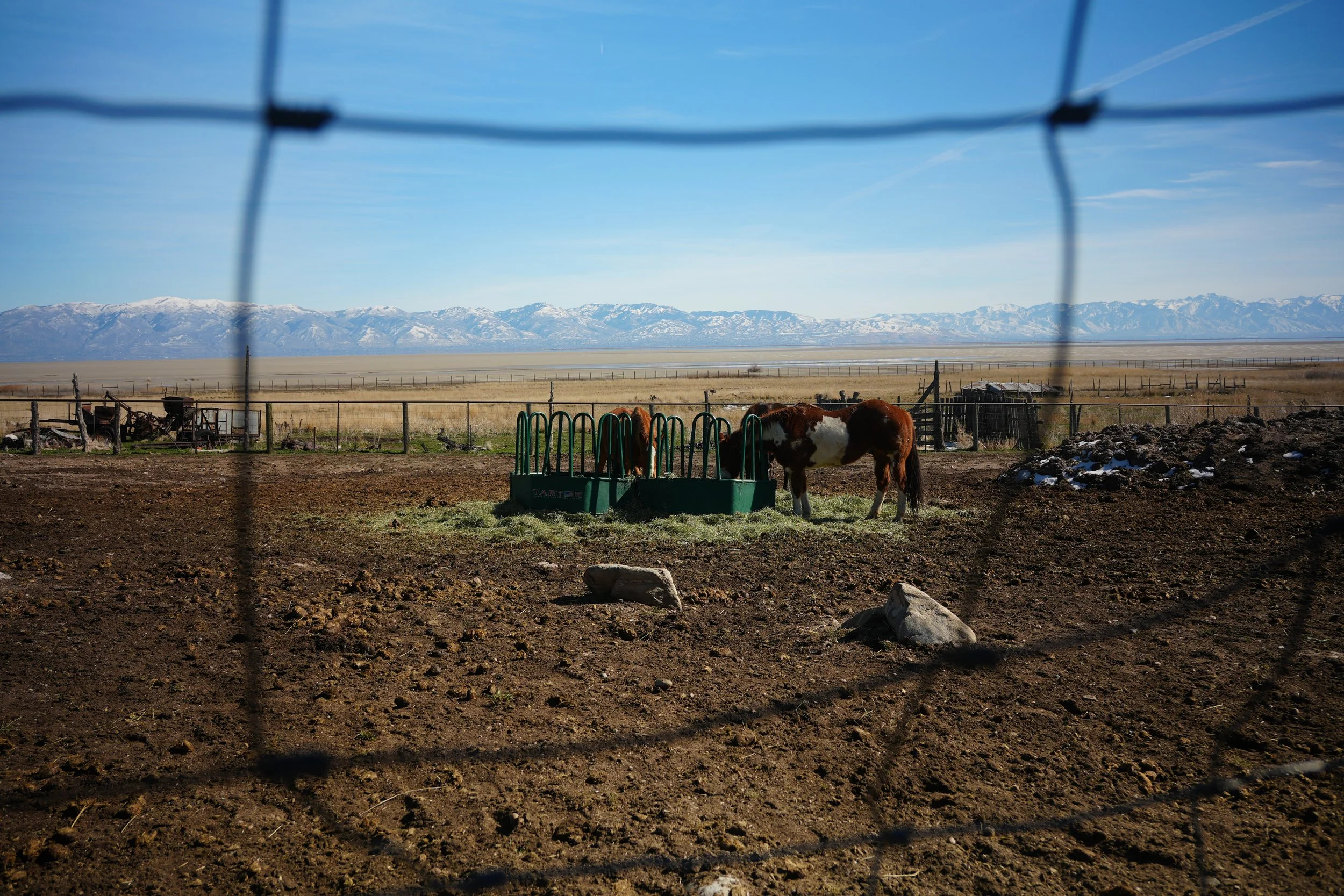 Rural Utah landscape with horses near a feeding area and snow-dusted mountains in the distance