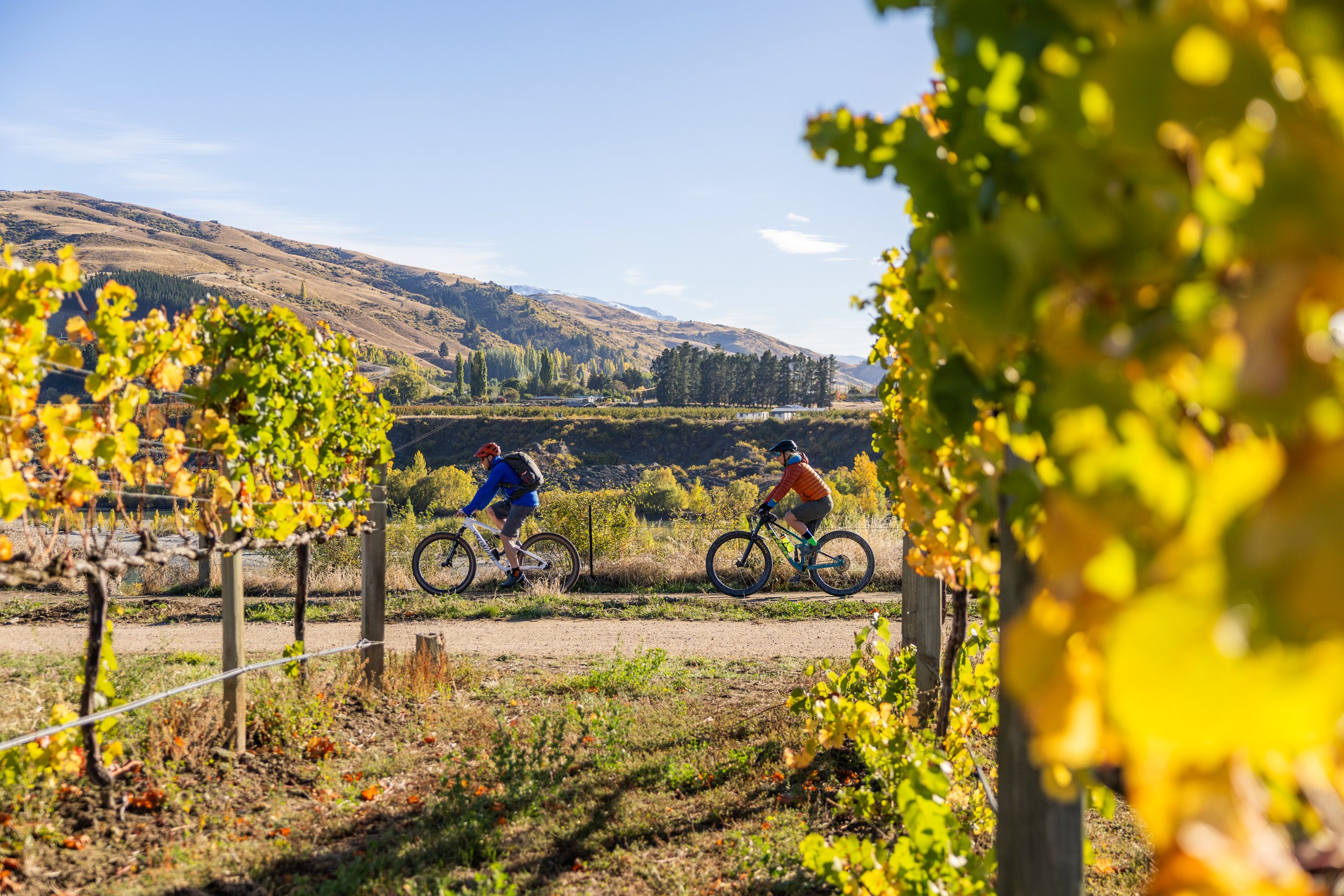 Southern Lakes Trails