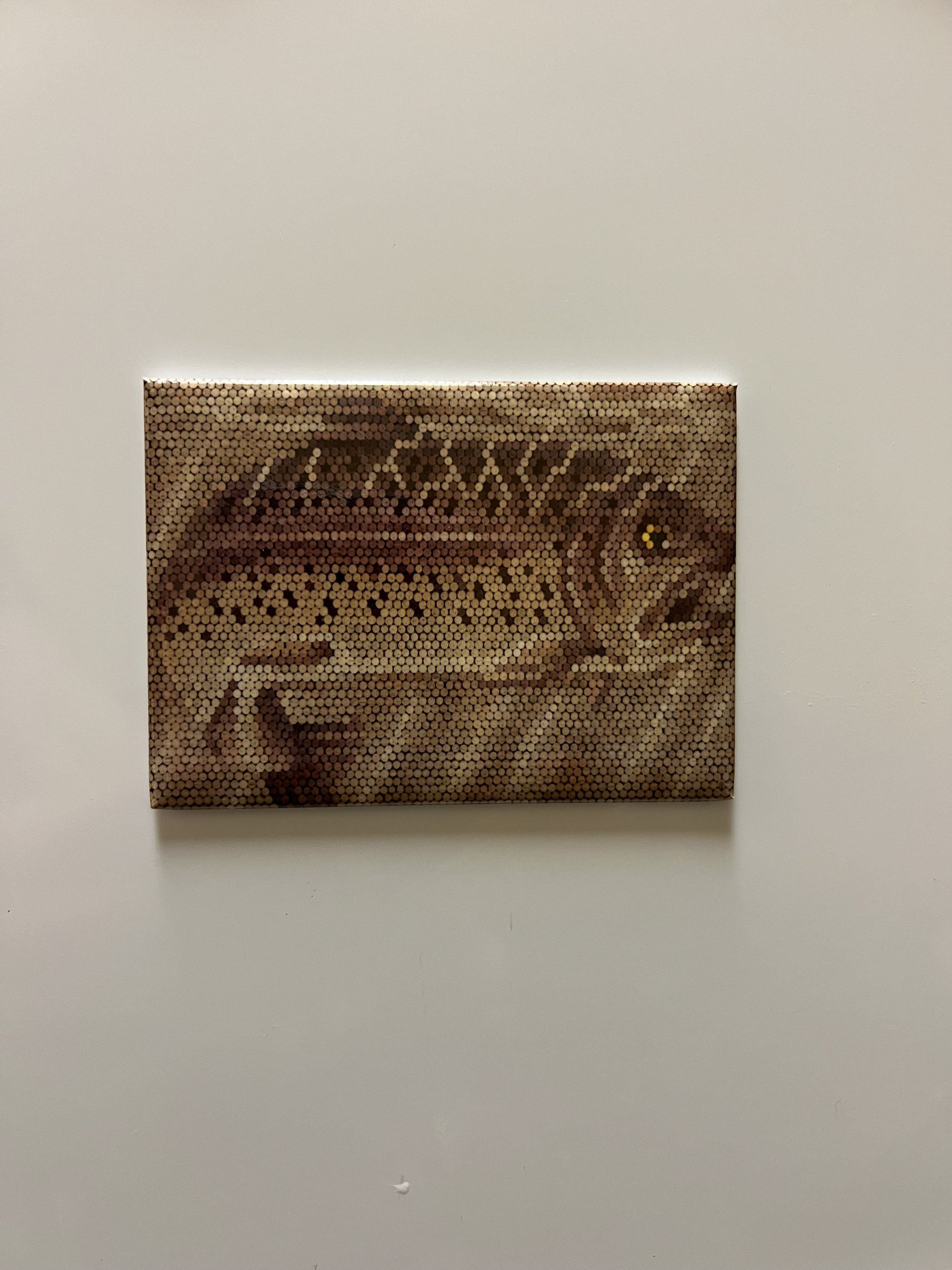 Magnet (Fish)