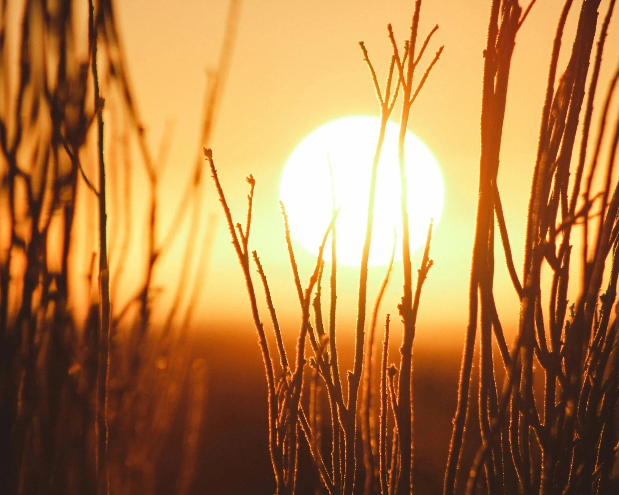 It All Begins Here…