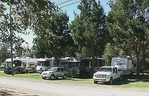 Line of parked RVs and trucks under trees along a roadside.