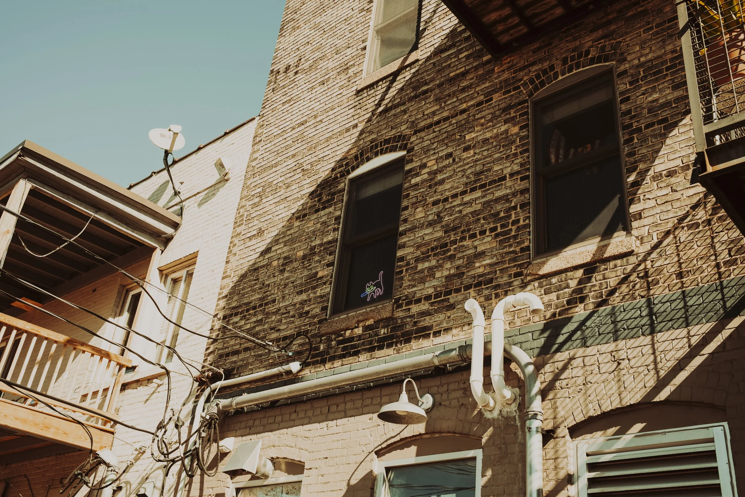 More cat Cafe-15.jpg