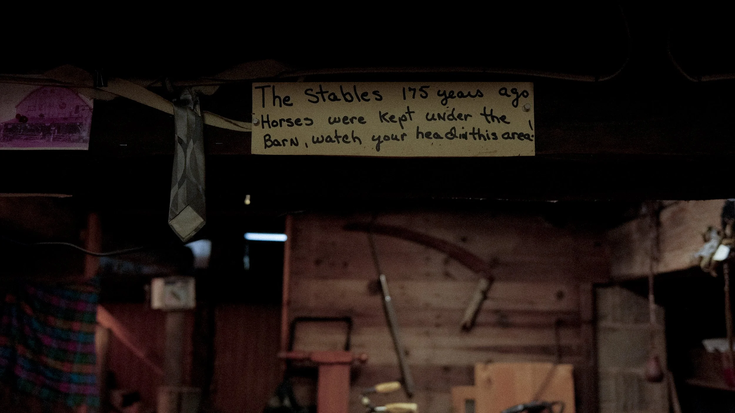 craigs cool jpegs-53.jpg