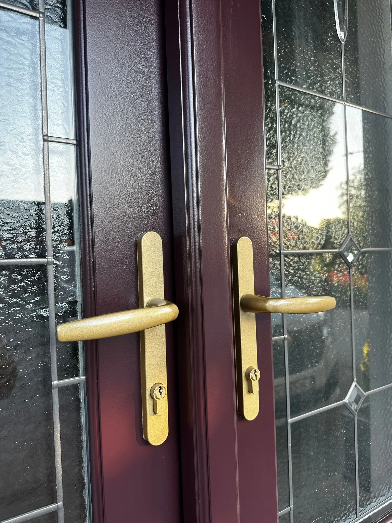 Double front door with gold handles and lock, dark purple frame, glass panels with decorative geometric patterns, and trees visible through the glass.