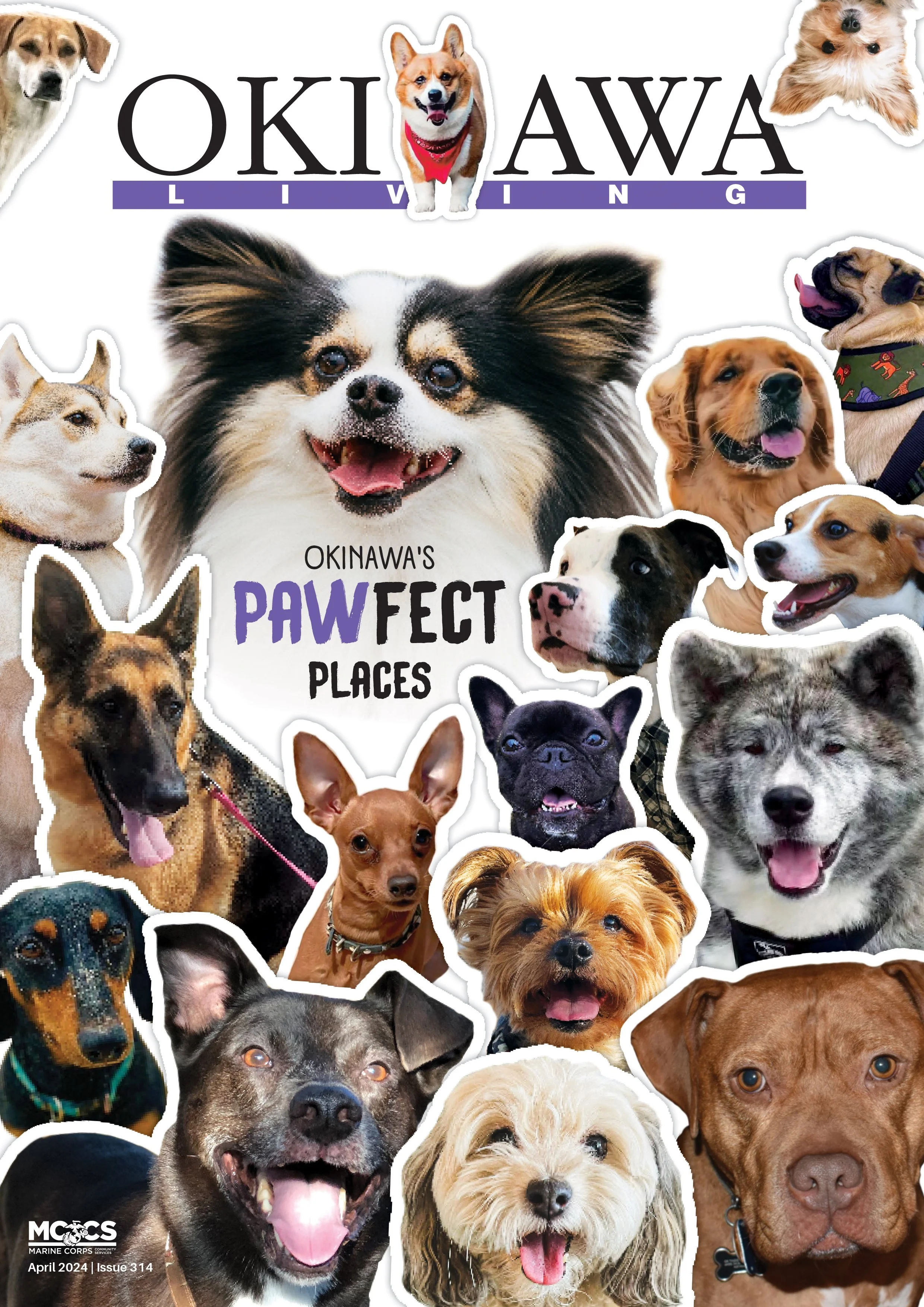 C1 Cover_April2024-FINAL.jpg