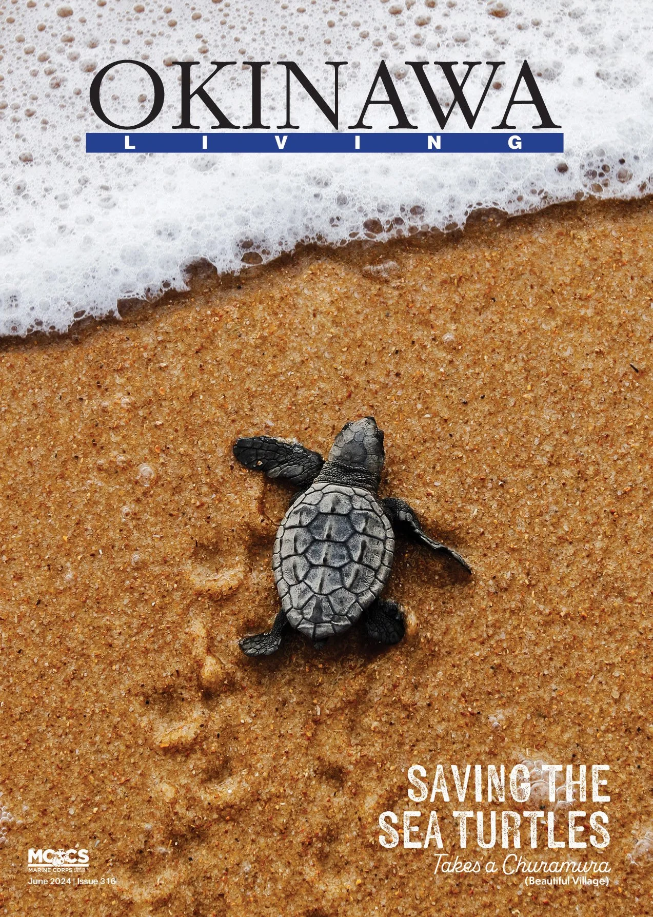 C1 Cover_June2024.jpg