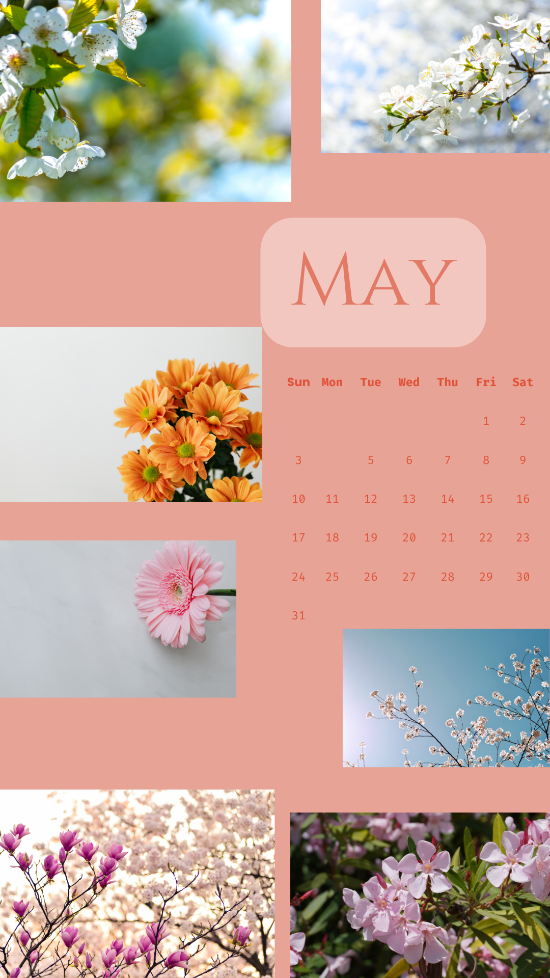A floral calendar for May featuring close-up images of various blossoms including white, pink, and purple flowers, with the month and days displayed in a soft pink and orange color scheme.