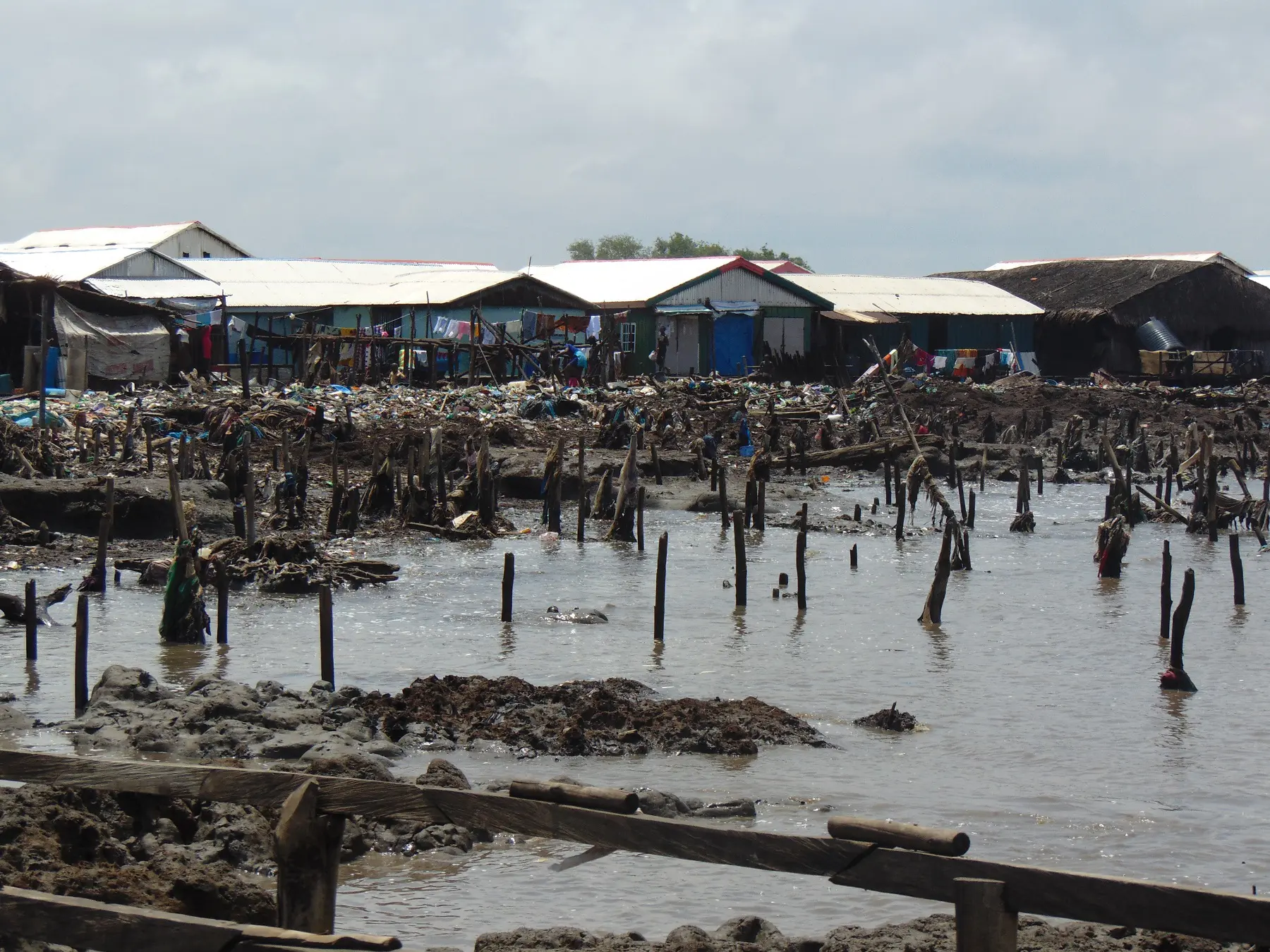 A shoreline with mud and wooden stilts sticking out of water, with a cluster of damaged houses and debris in the background under a cloudy sky.