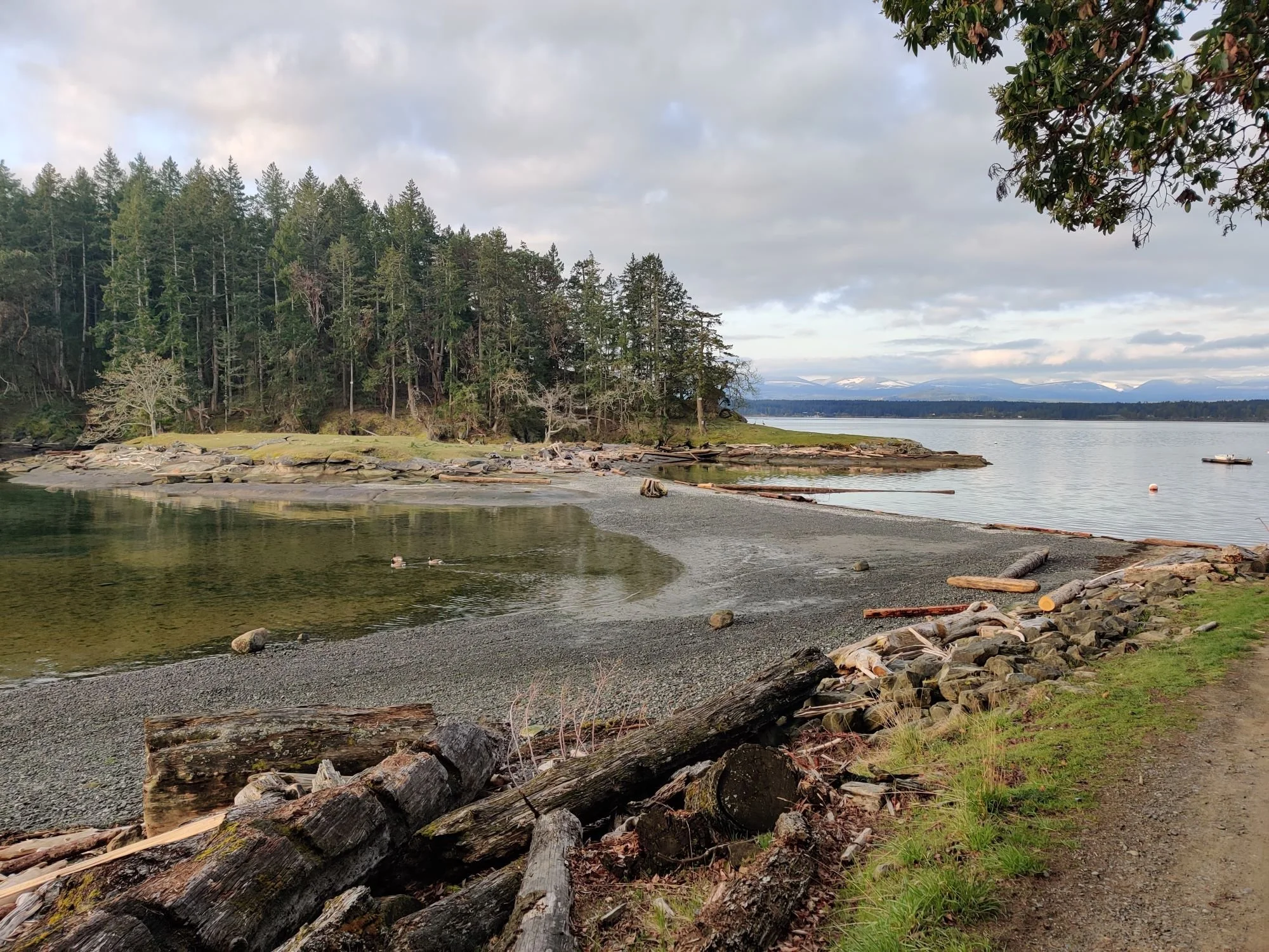 A peaceful lakeside scene with a pebble beach, scattered logs, a small rocky outcrop, dense pine trees, and mountains in the distance under cloudy skies.