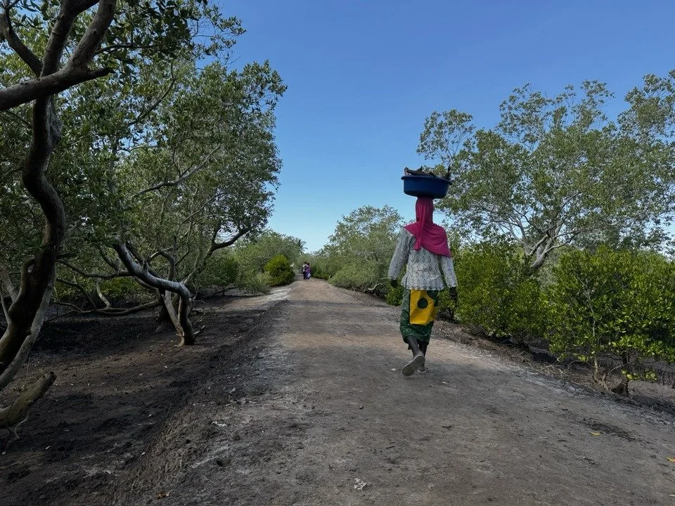 A woman walking along a dirt path in a wooded area, balancing a large container on her head; she wears a pink scarf and a patterned dress, with another person visible in the distance.