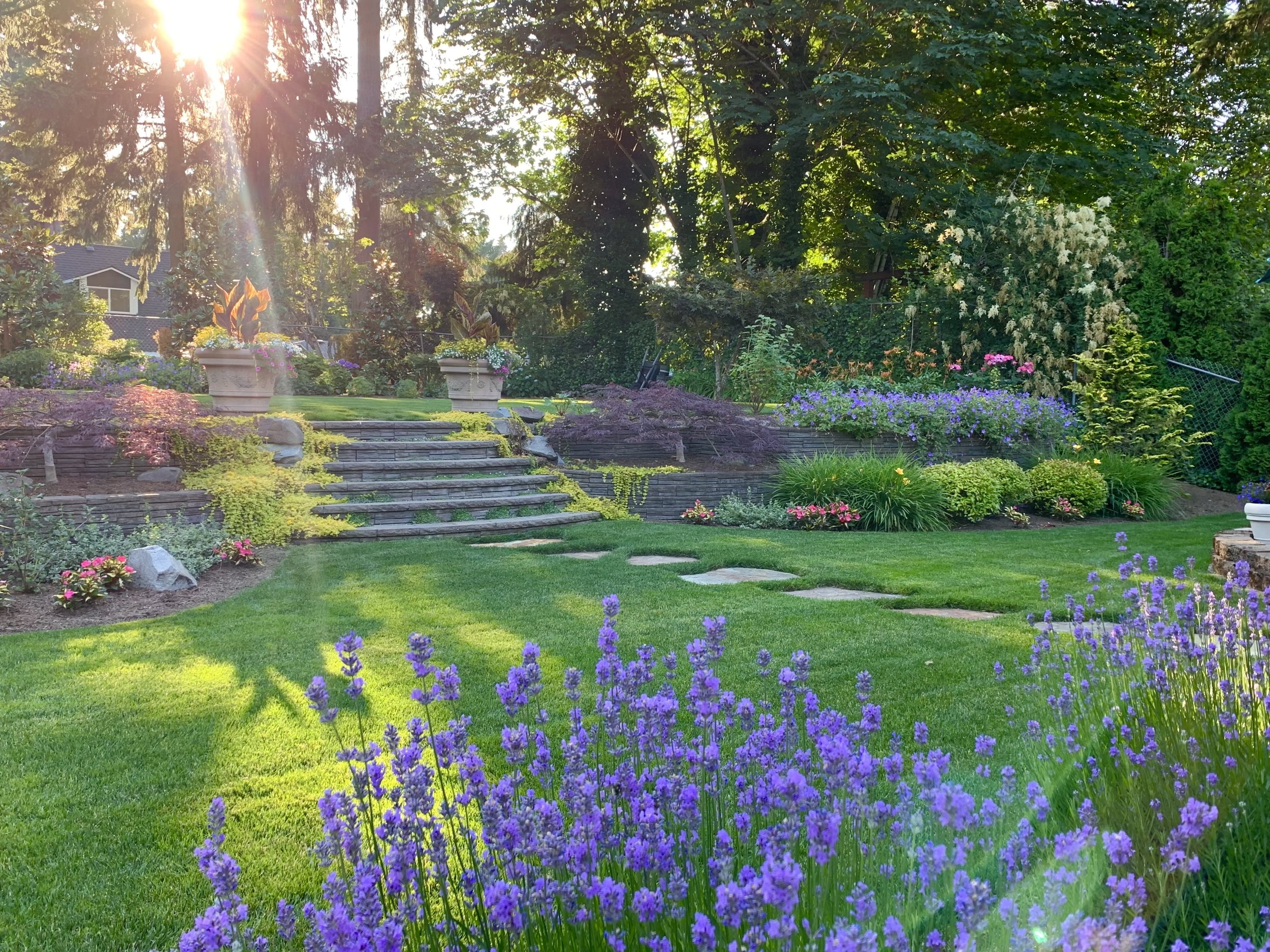 A lush garden with vibrant purple flowers in the foreground, green grass, and a tiered stone staircase leading up to a flower garden with potted plants. Tall trees and shrubs surround the area, with sunlight shining through the trees.