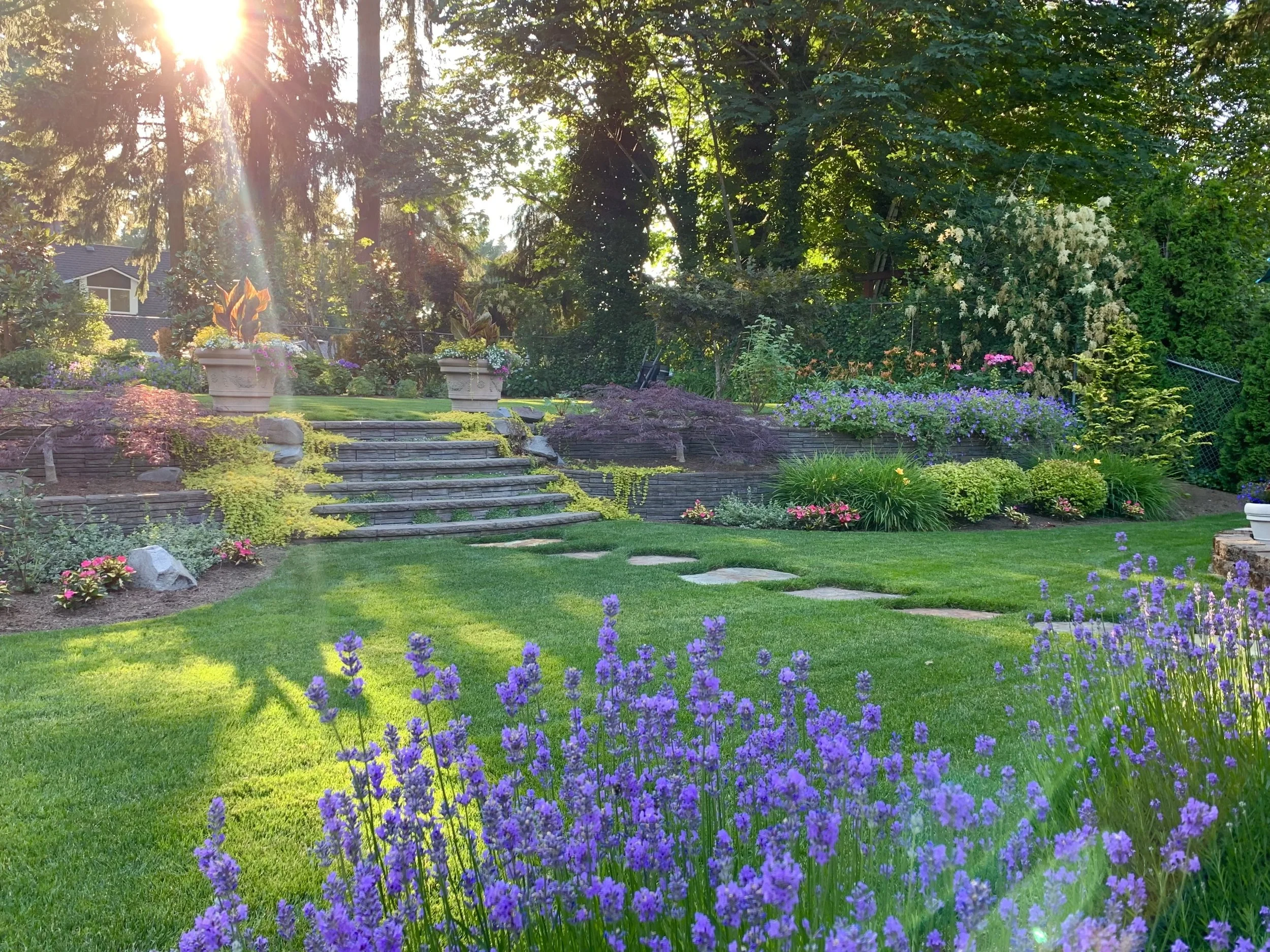 A beautifully landscaped backyard garden with green grass, purple flowers, stone steps, potted plants, and tall trees with sunlight filtering through.
