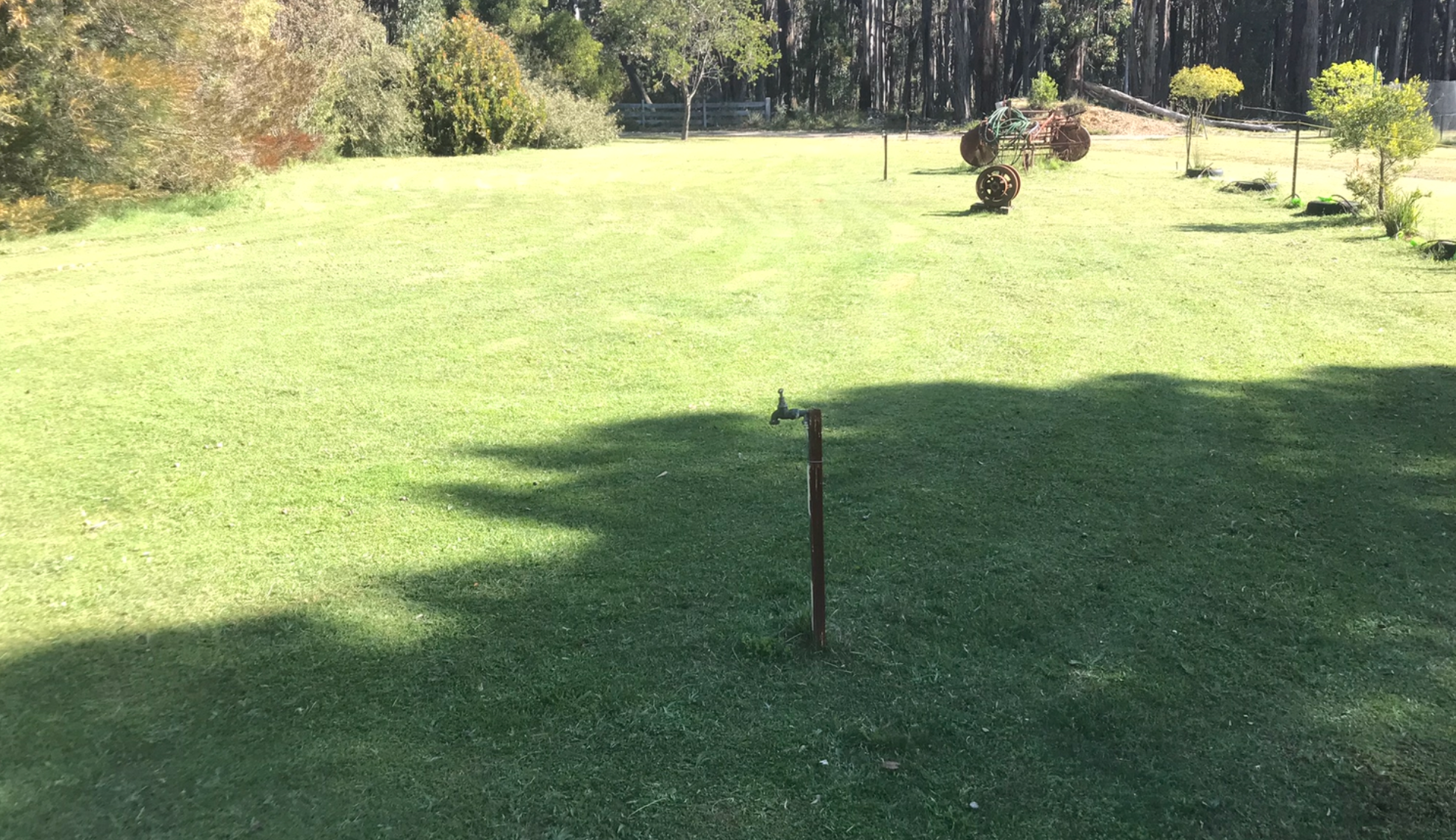 IMG_0525.png