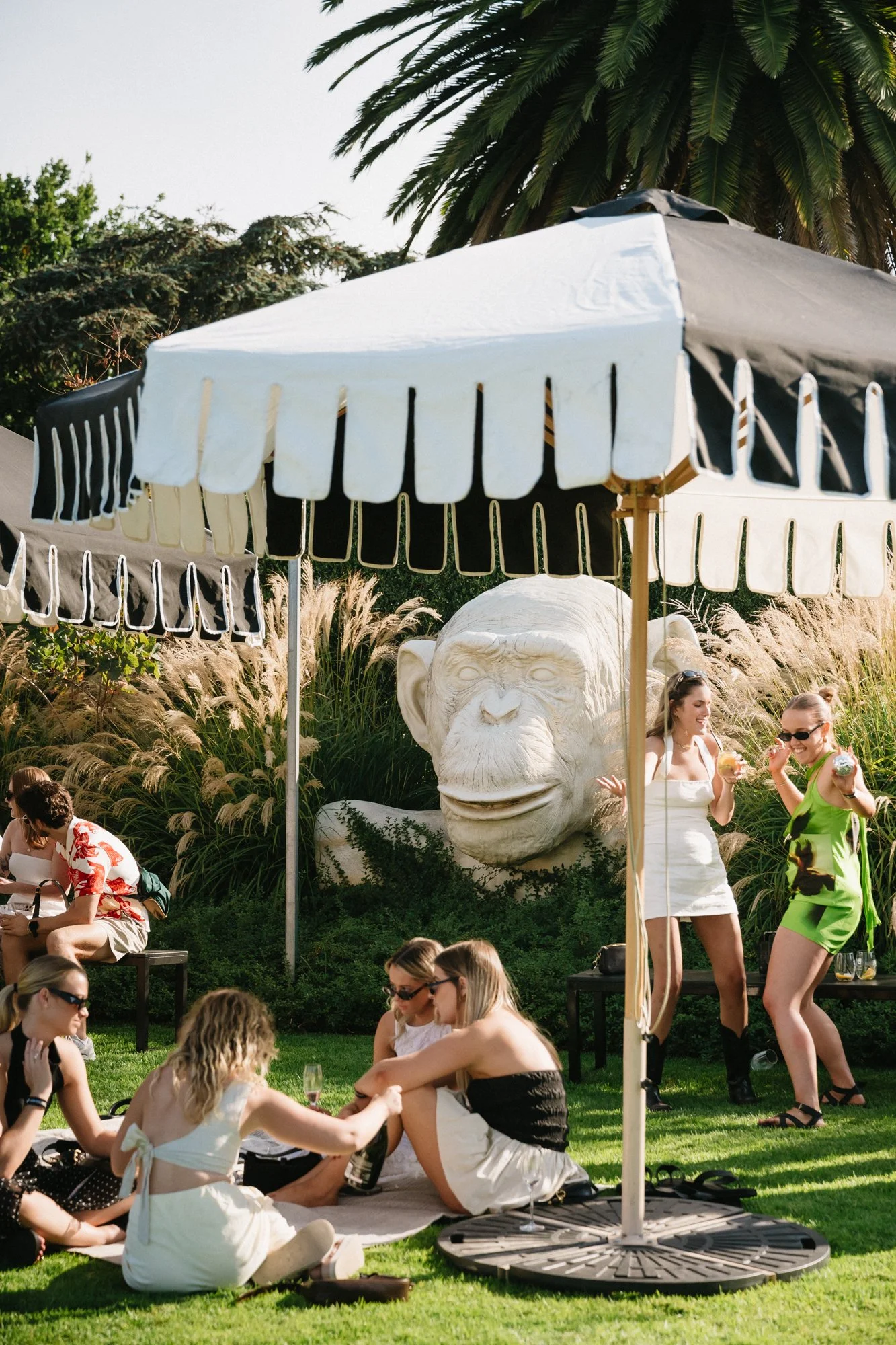 10_Bird in hand_MEAGHAN COLES__MKC0502.jpg