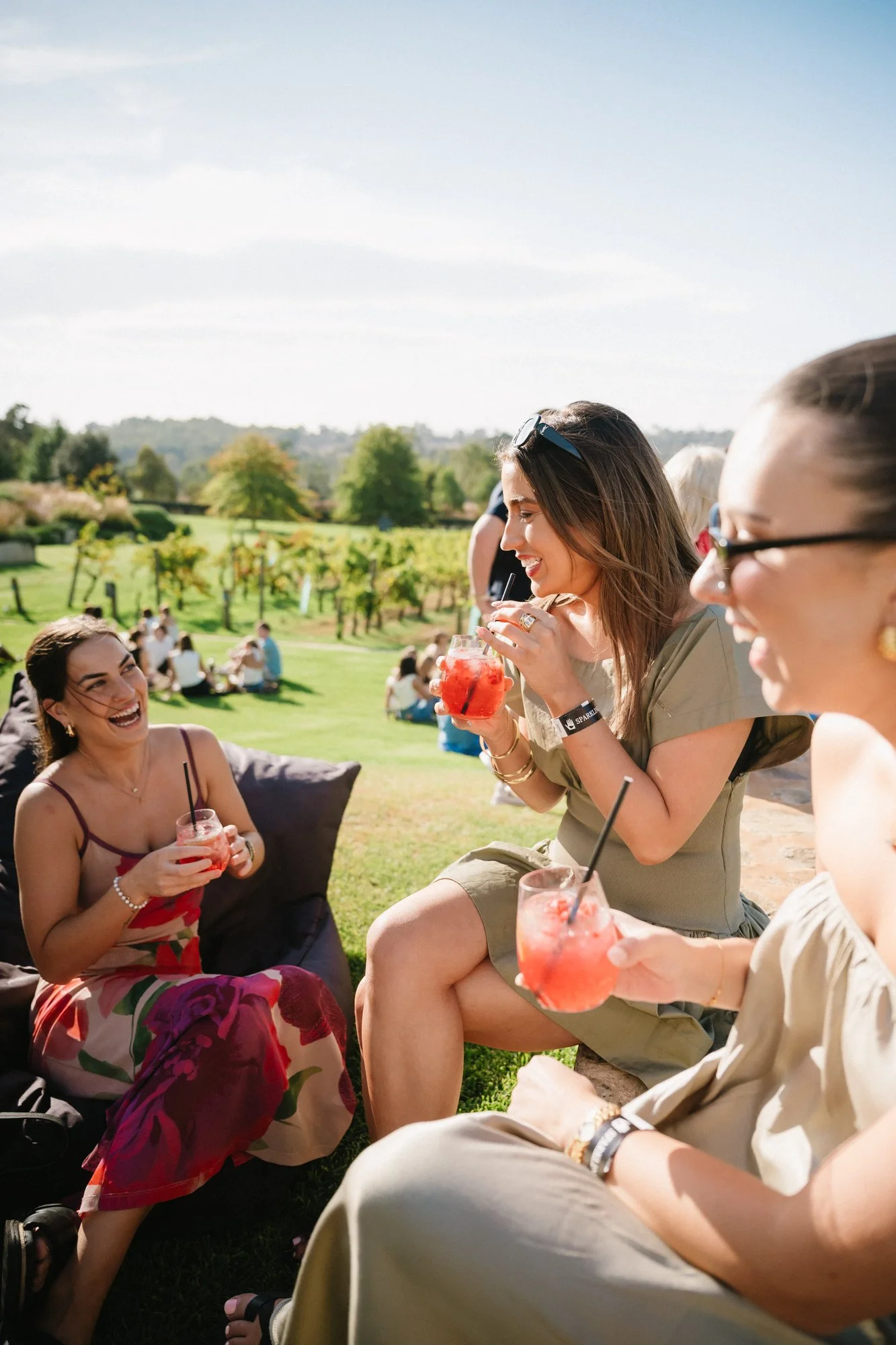 14_Bird in hand_MEAGHAN COLES__MKC0586.jpg