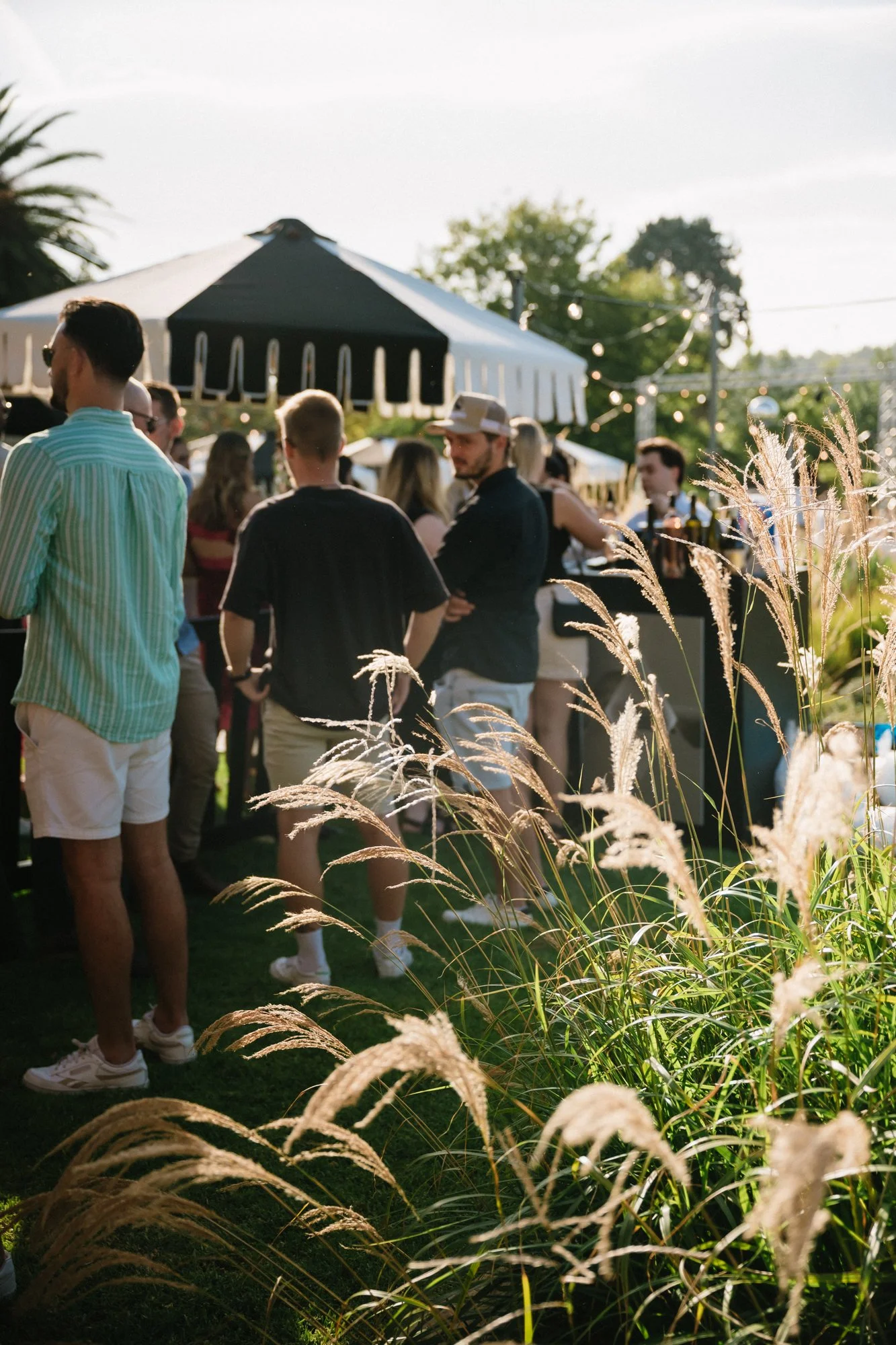 21_Bird in hand_MEAGHAN COLES__MKC0673.jpg