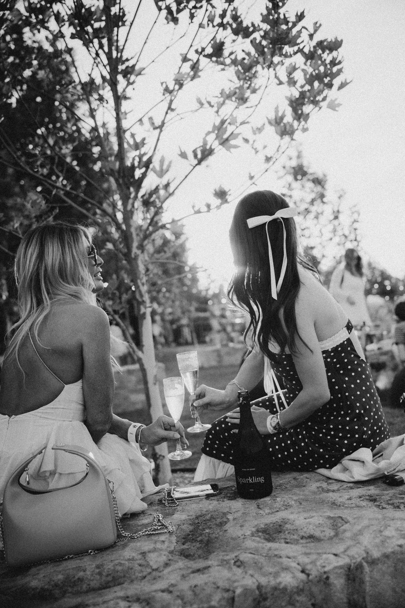 118_Bird in hand_MEAGHAN COLES__MKC1695.jpg