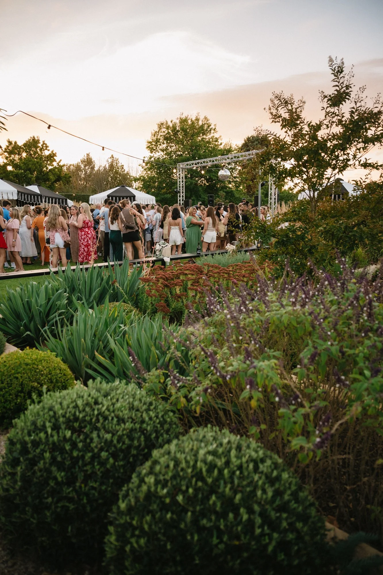 127_Bird in hand_MEAGHAN COLES__MKC1844.jpg