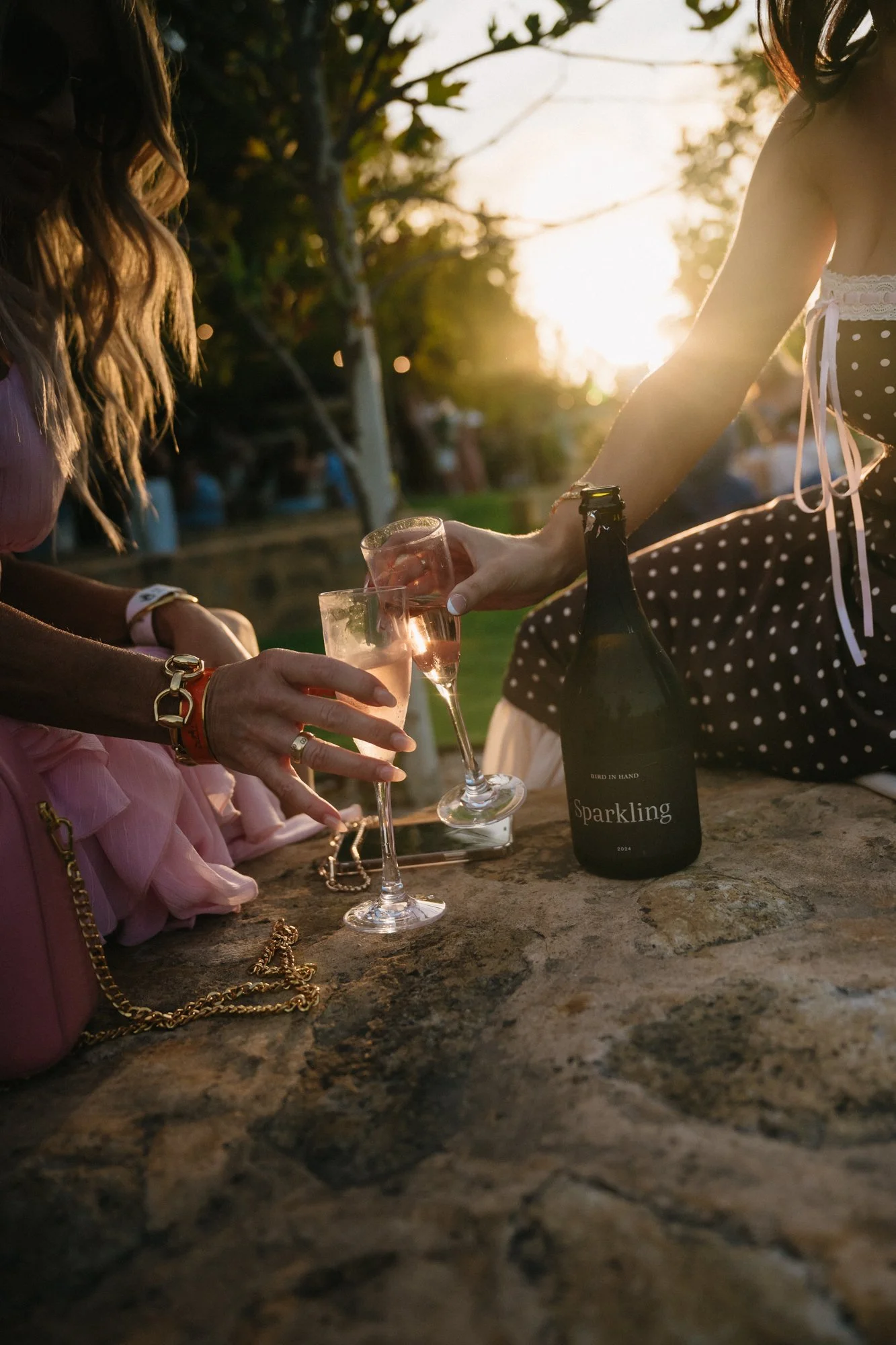 116_Bird in hand_MEAGHAN COLES__MKC1676.jpg