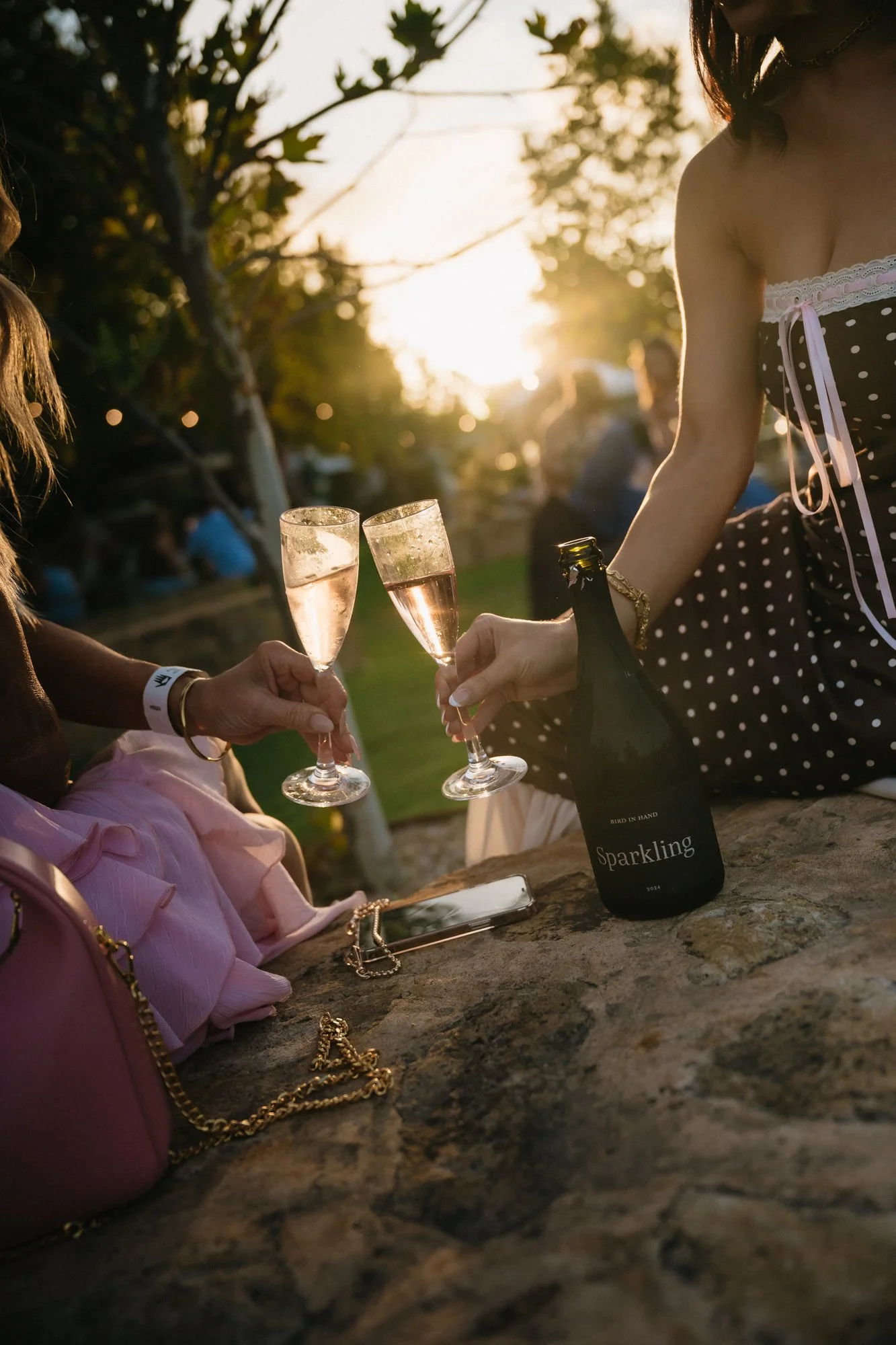 117_Bird in hand_MEAGHAN COLES__MKC1682.jpg