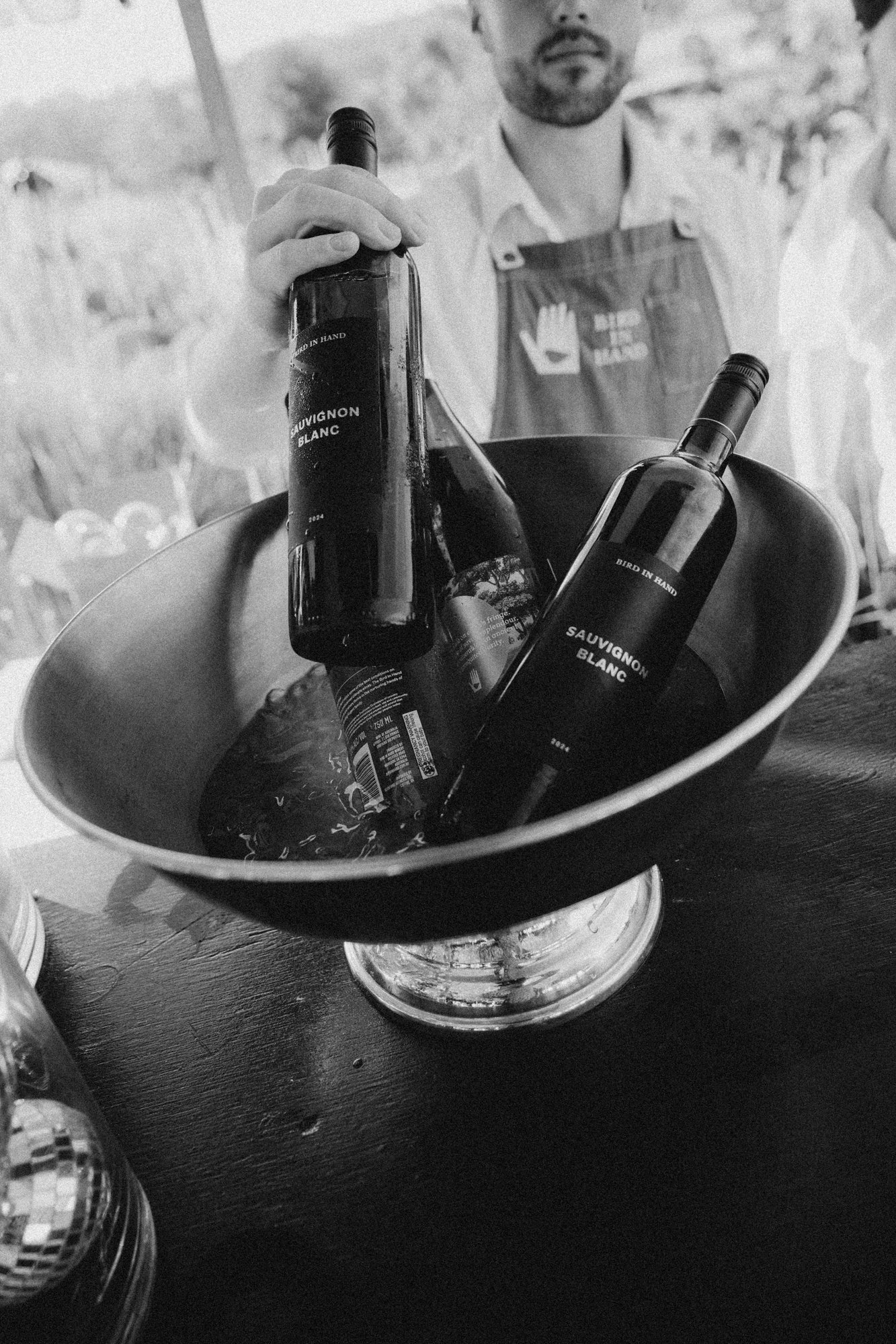 39_Bird in hand_MEAGHAN COLES__MKC0872.jpg