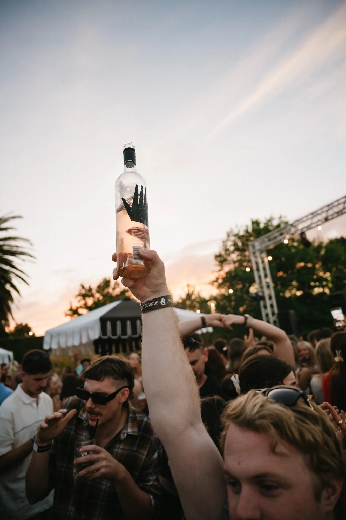 136_Bird in hand_MEAGHAN COLES__MKC1915.jpg