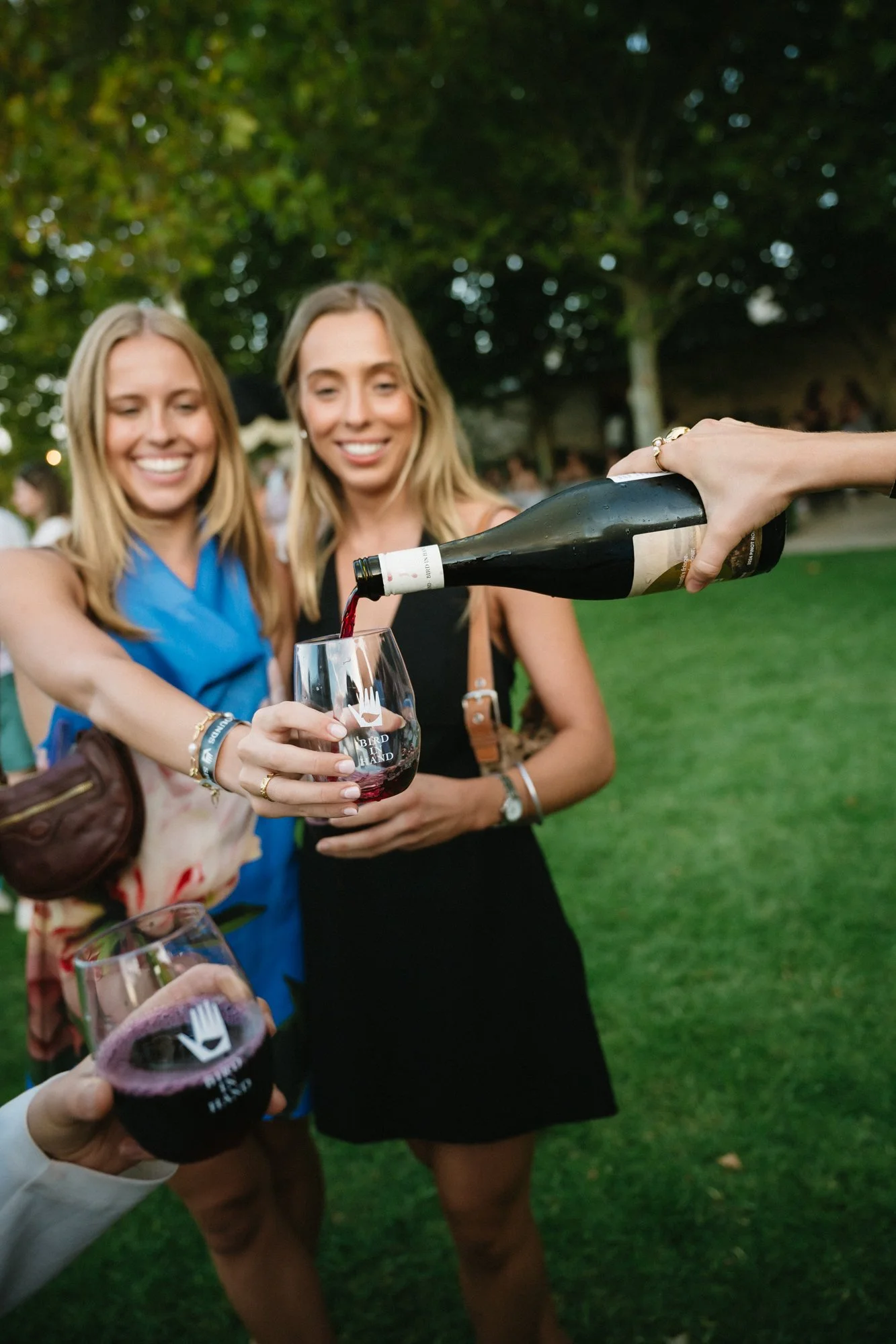 89_Bird in hand_MEAGHAN COLES__MKC1411.jpg