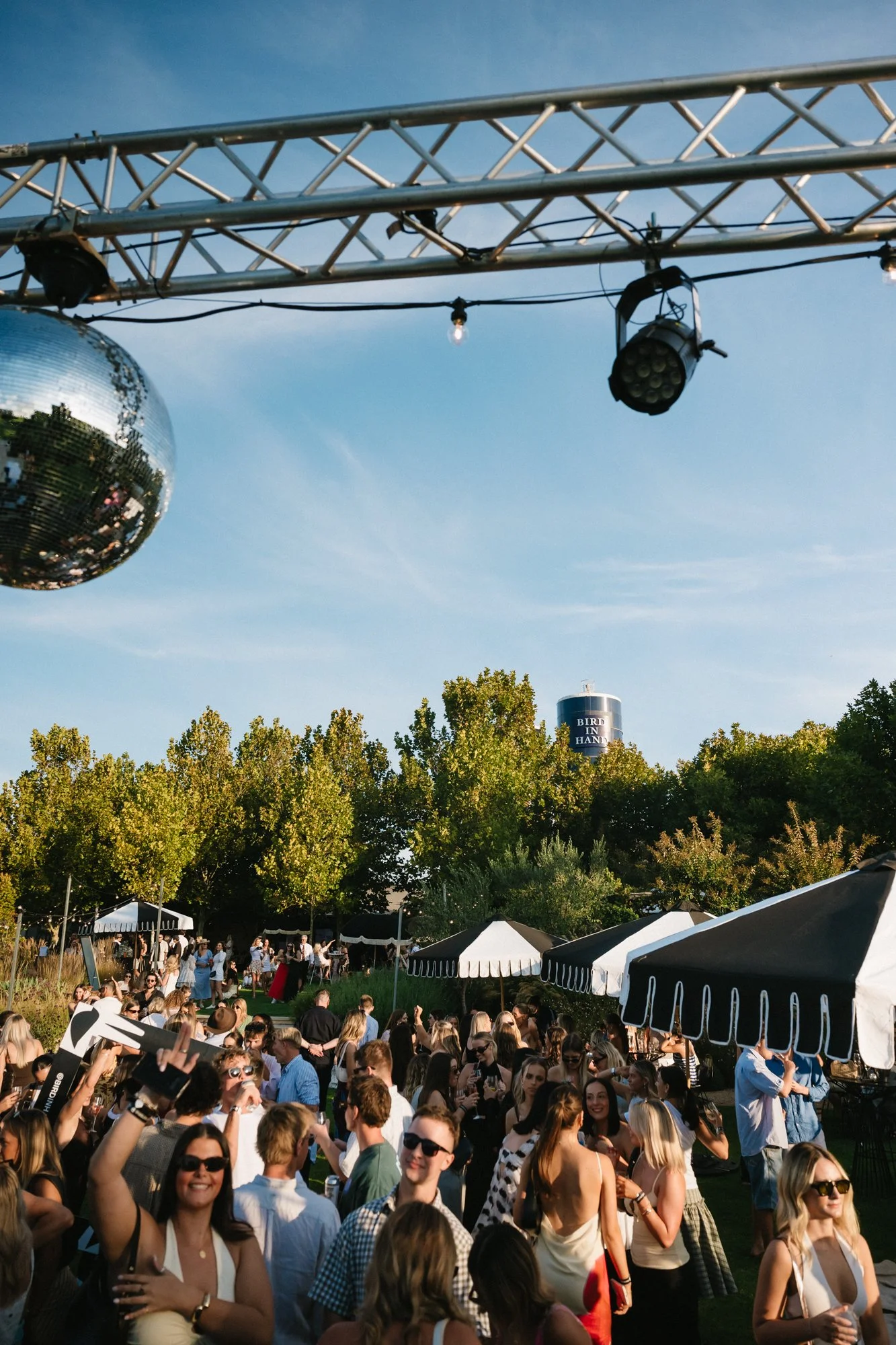 72_Bird in hand_MEAGHAN COLES__MKC1259.jpg