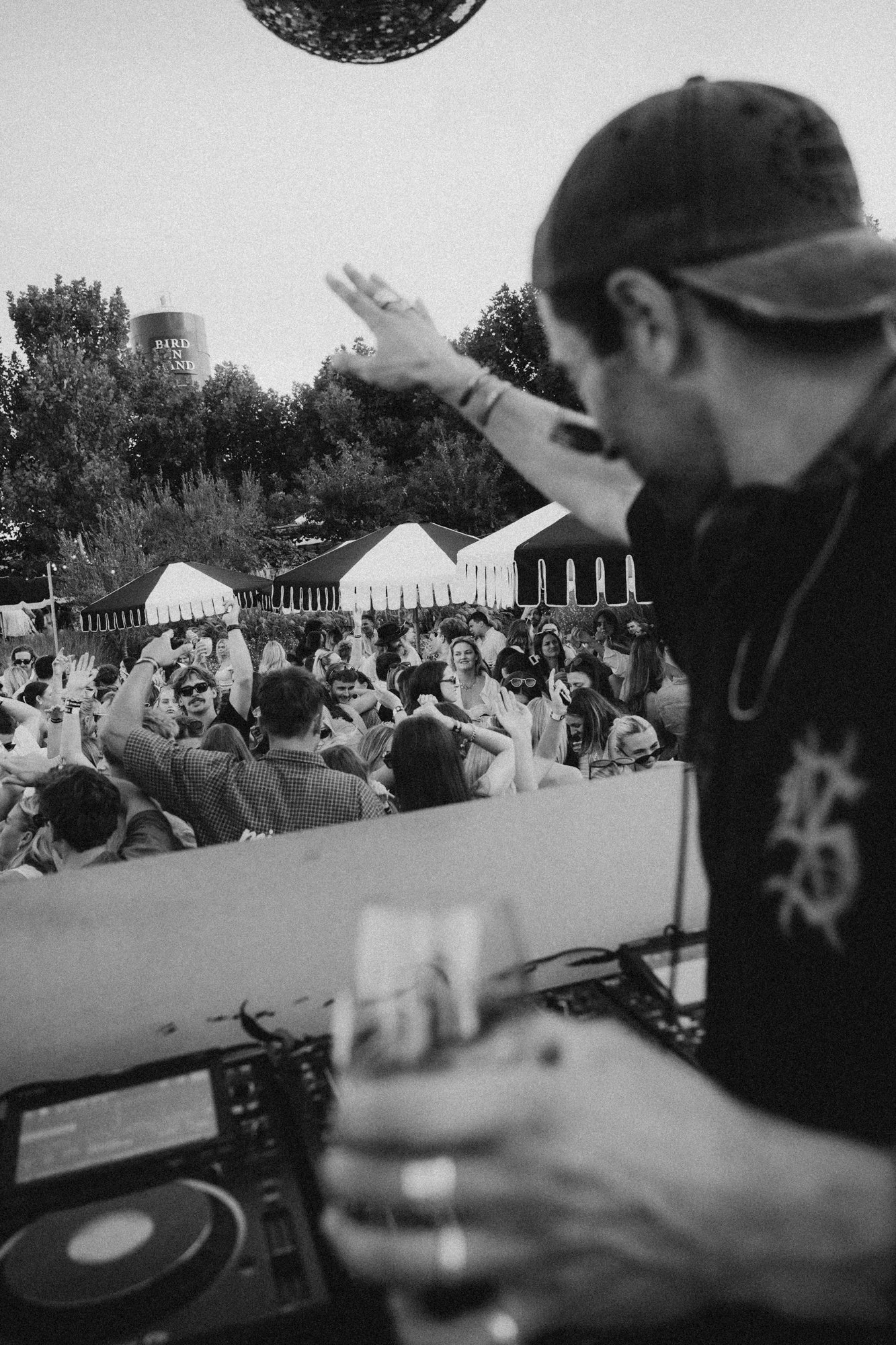 104_Bird in hand_MEAGHAN COLES__MKC1540.jpg