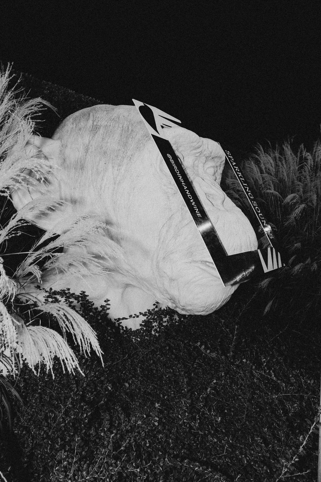 163_Bird in hand_MEAGHAN COLES__MKC2214.jpg