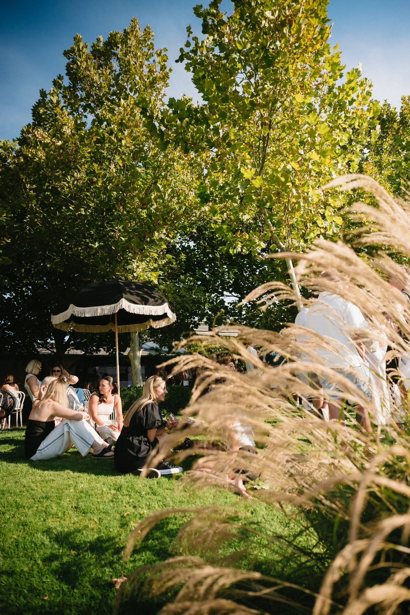 15_Bird in hand_MEAGHAN COLES__MKC0596.jpg