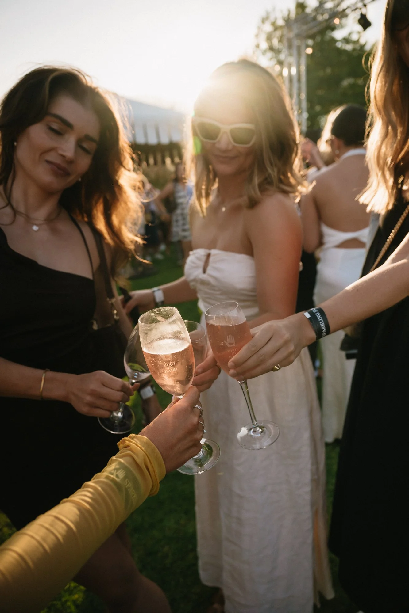 80_Bird in hand_MEAGHAN COLES__MKC1304.jpg