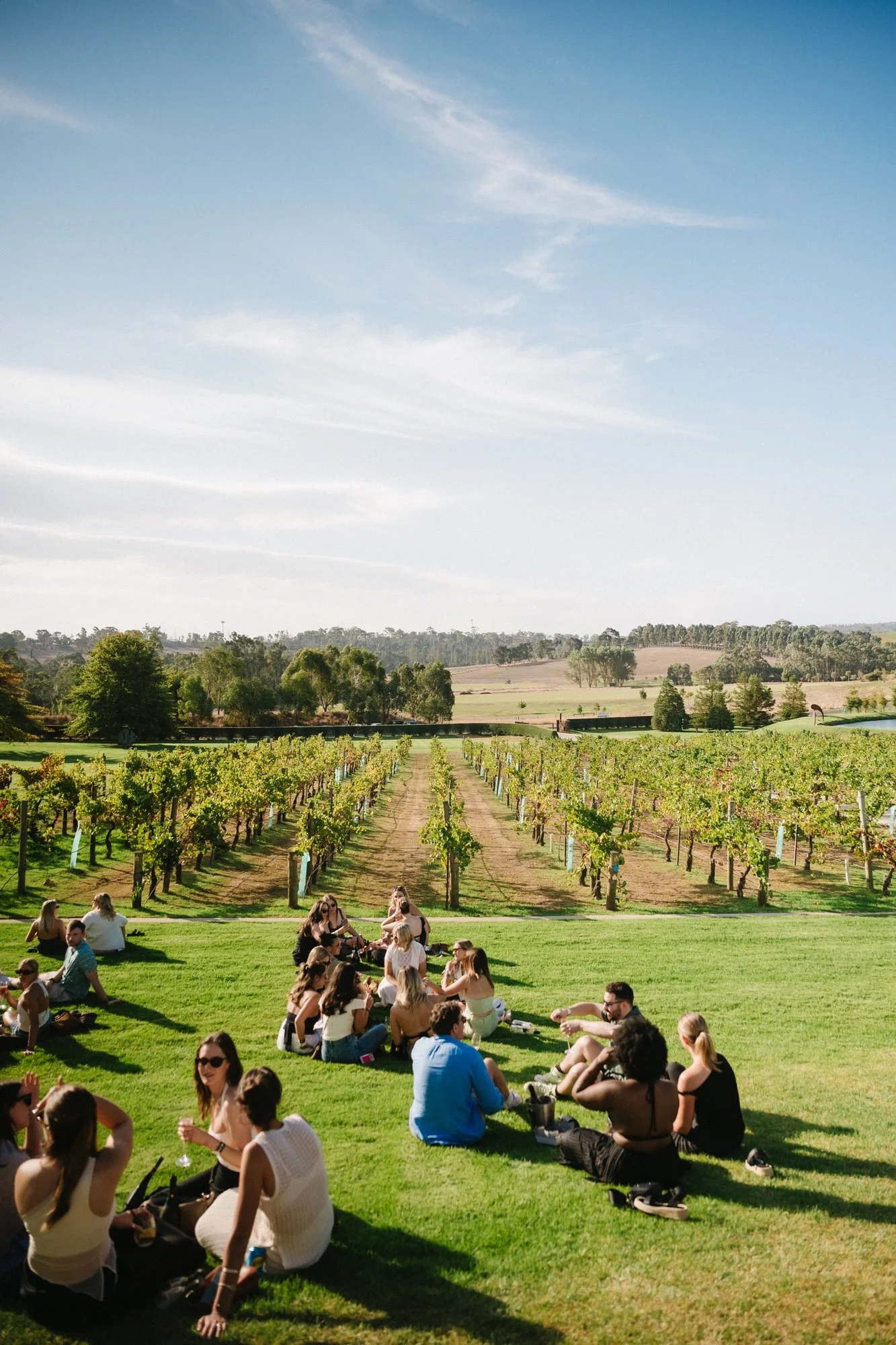 20_Bird in hand_MEAGHAN COLES__MKC0671.jpg